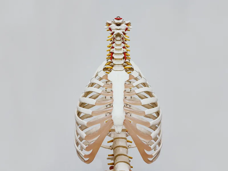 How X-Rays works at Wellcare Chiropractic And Rehabilitation Clinic