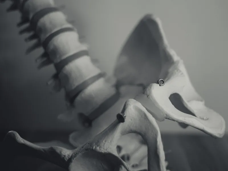 X-Rays at Wellcare Chiropractic And Rehabilitation Clinic in houston